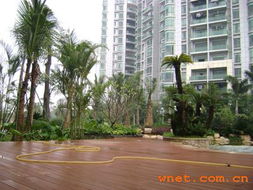 深圳市巴比倫環(huán)境園林藝術(shù) 園林景觀建設(shè)工程與產(chǎn)品展廳的工程管理實(shí)踐