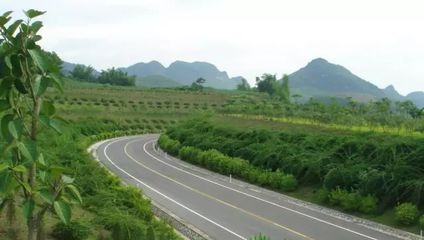 道路建設(shè)中的邊坡修復(fù)策略與應(yīng)用