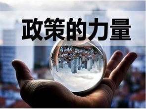 軟件技術服務行業合理避稅操作指南